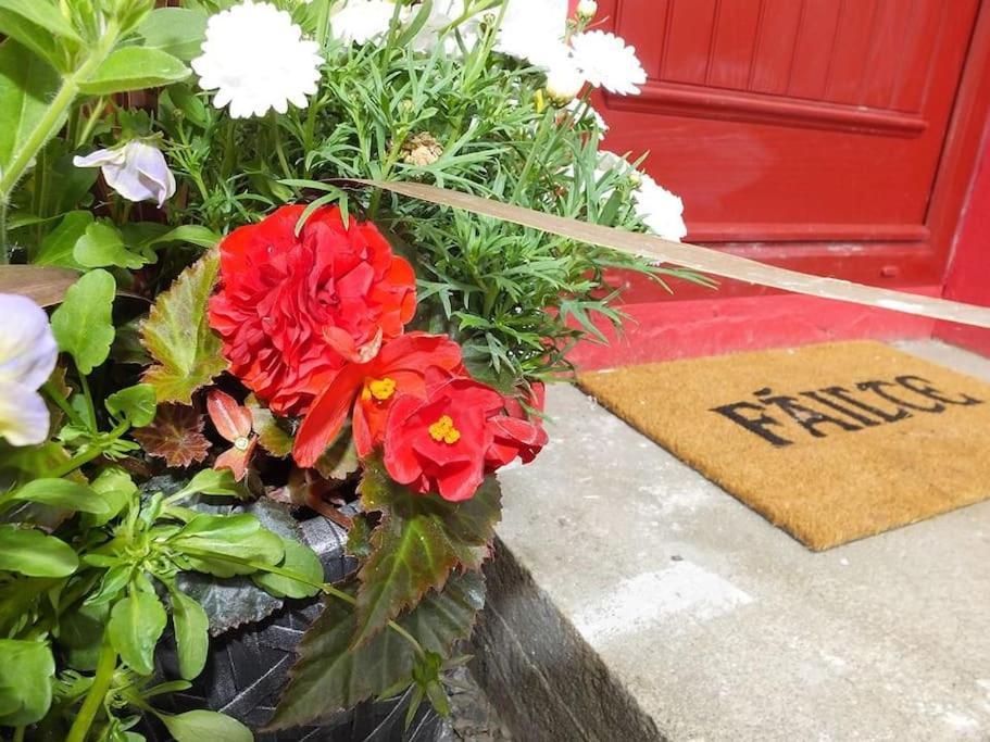 The Cosy Farm Cottage, Donegal Inver Екстер'єр фото
