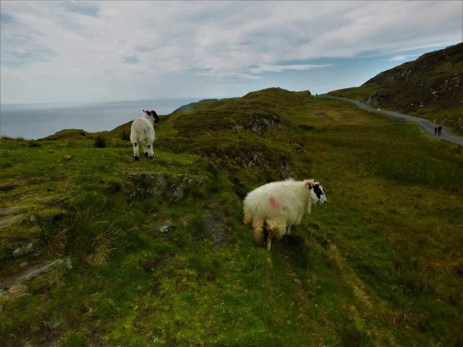 The Cosy Farm Cottage, Donegal Inver Екстер'єр фото